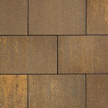 -BA- VIALETTA 20X30X6CM COLORATO